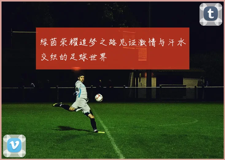 绿茵荣耀追梦之路见证激情与汗水交织的足球世界