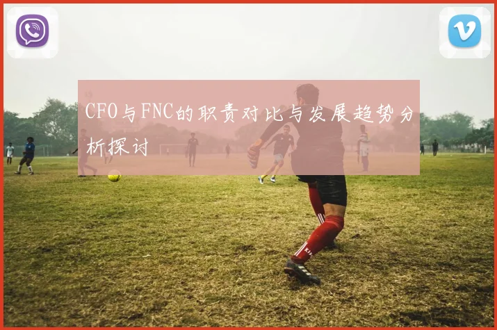 CFO与FNC的职责对比与发展趋势分析探讨