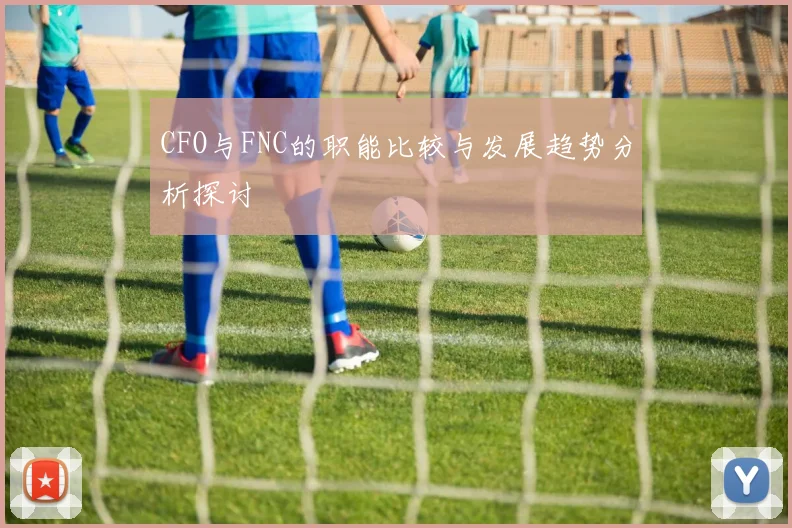 CFO与FNC的职能比较与发展趋势分析探讨