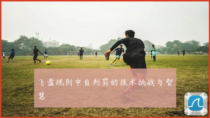 飞盘规则中自判罚的技术挑战与智慧