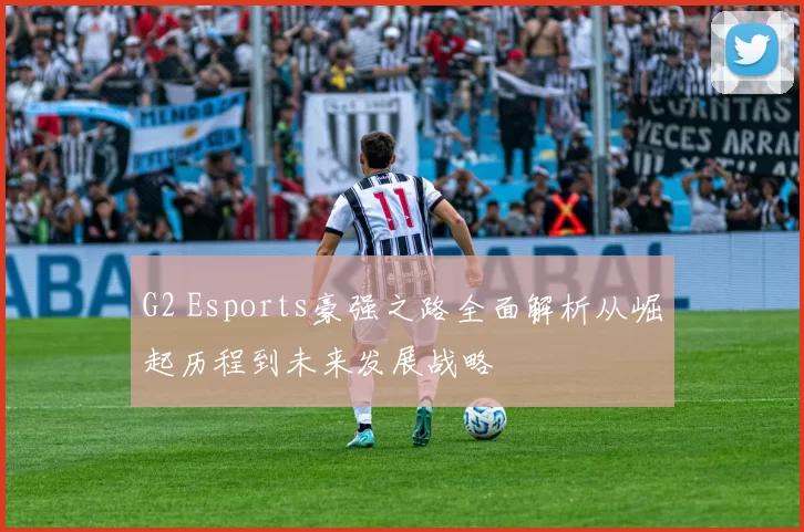 G2 Esports豪强之路全面解析从崛起历程到未来发展战略