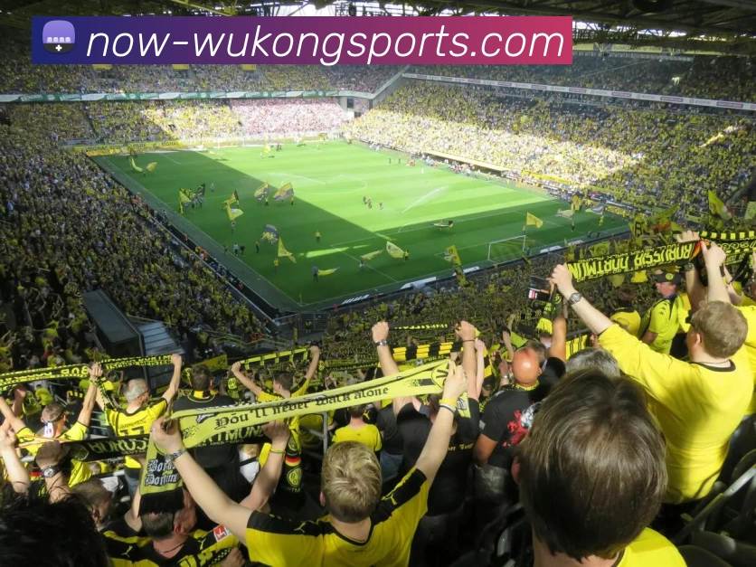 悟空平台生态图